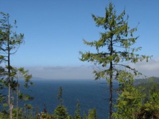 photo.jpg