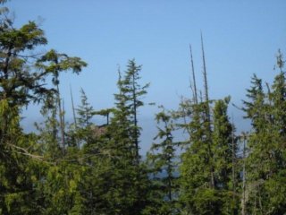 photo12.jpg